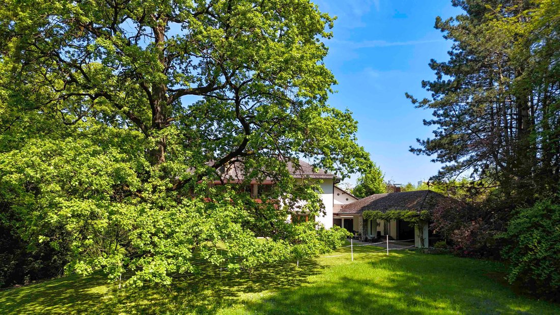 1,1 Ha Of Secluded Location With Forest In The Middle Of Linz