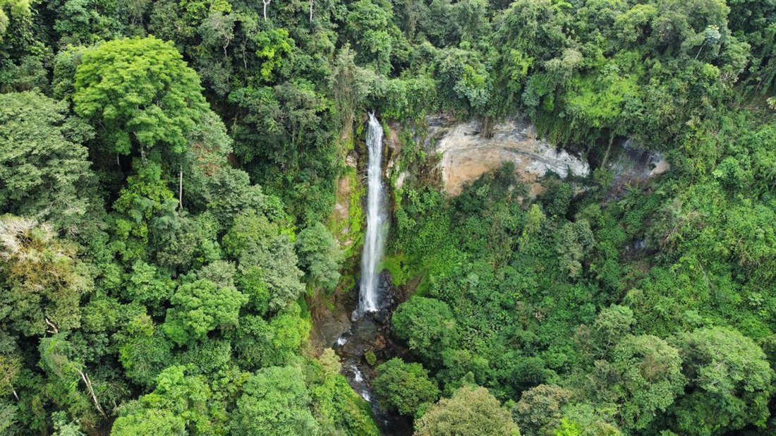 Estate in Dominical, Puntarenas Province, Costa Rica 3 - 17300077