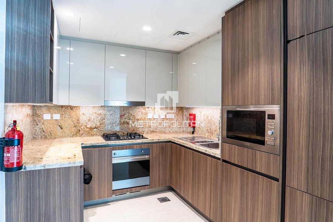 Apartment in Downtown Dubai, Dubai, United Arab Emirates 3 - 17300685