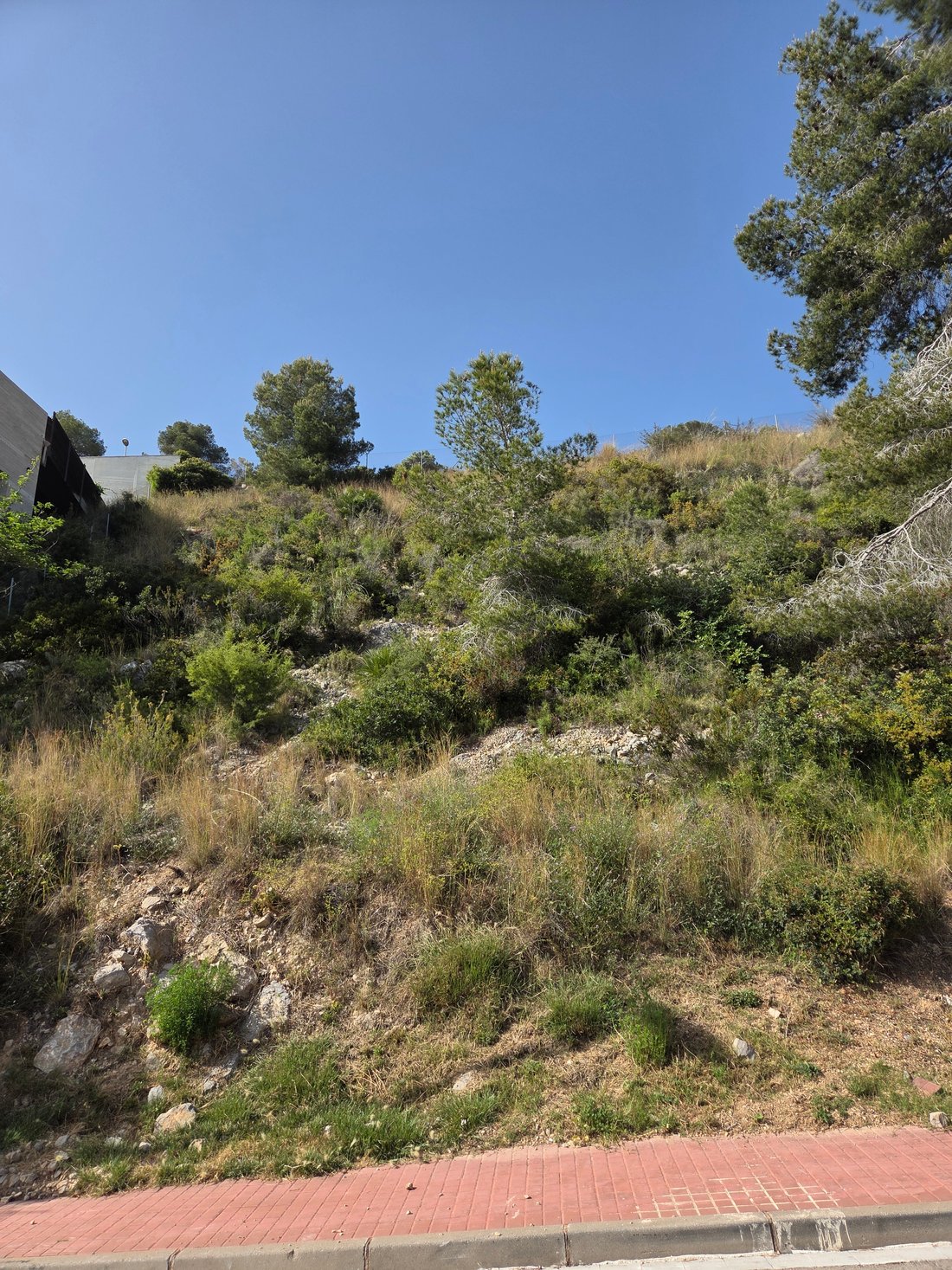 Land in Sitges, Catalonia, Spain 5 - 17301159