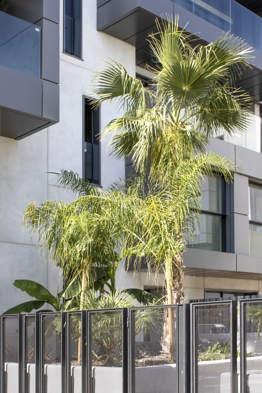 Apartment in Palma, Balearic Islands, Spain 5 - 17301493