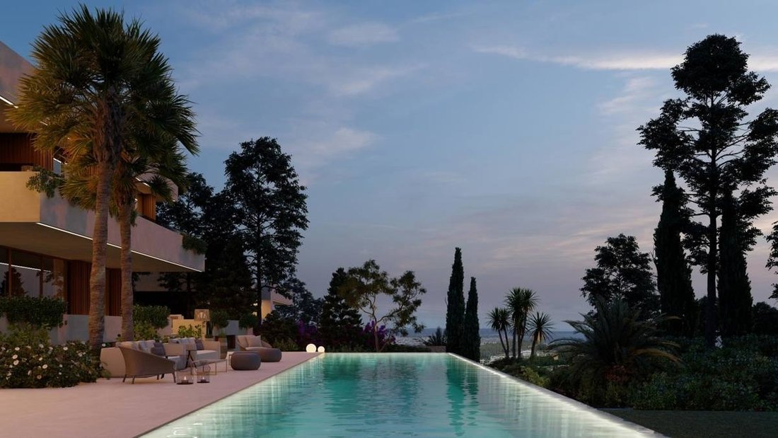Land in Palma, Balearic Islands, Spain 2 - 17301701