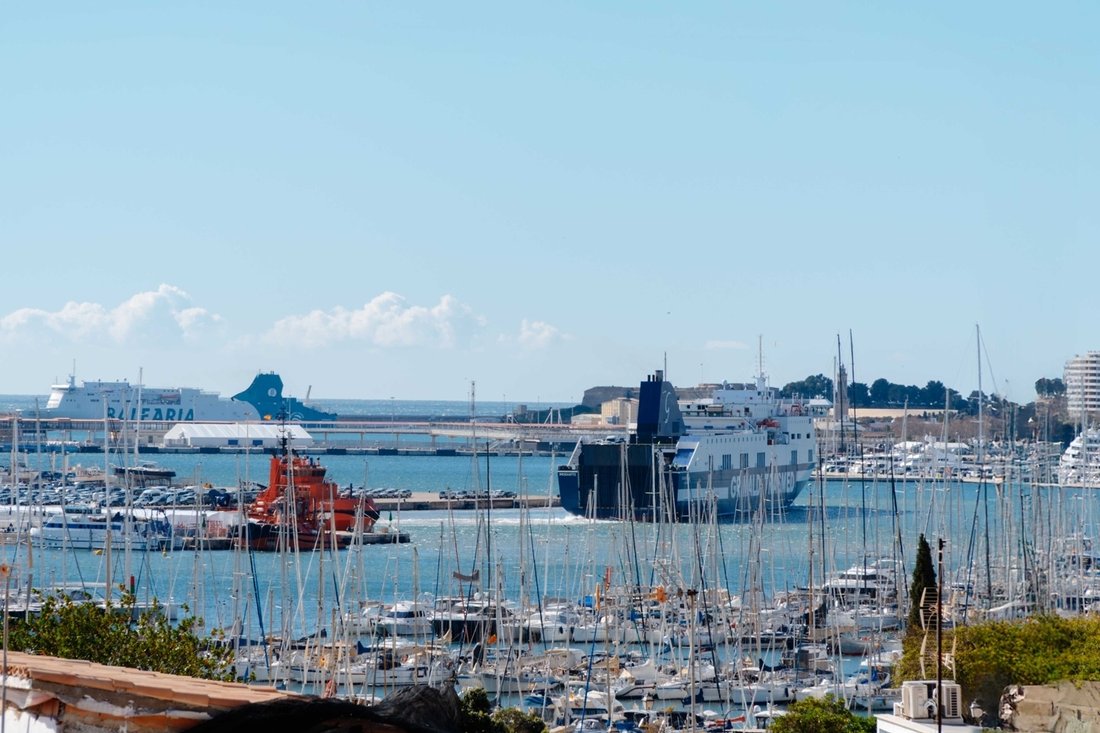 Apartment in Palma, Balearic Islands, Spain 3 - 13475493