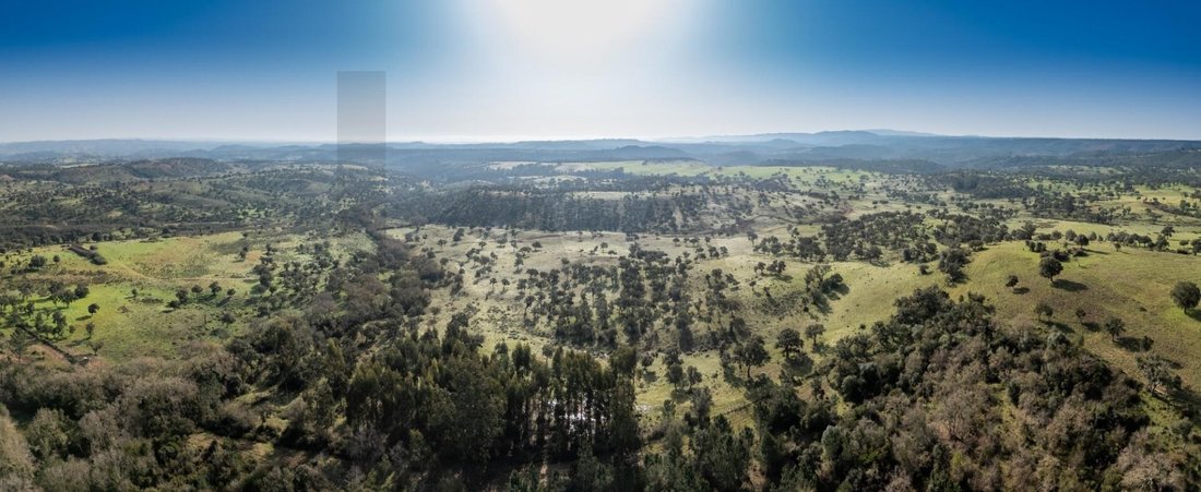 Terrain à São Teotónio, Beja, Portugal 5 - 17307427