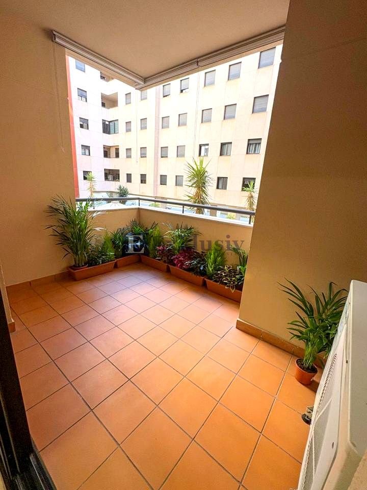 Apartment in Centro-Ifara, Santa Cruz De Tenerife, Spain 5 - 17302546
