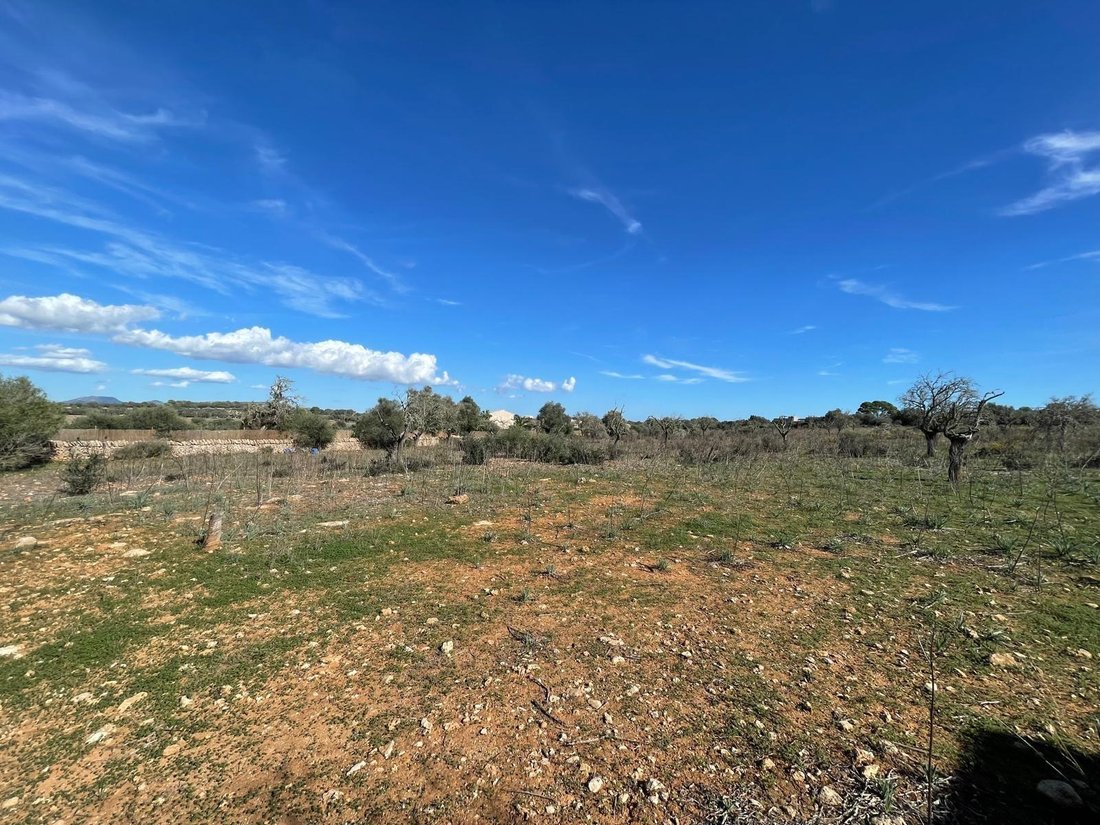 Terreno a Ses Salines, Isole Baleari, Spagna 5 - 17306133