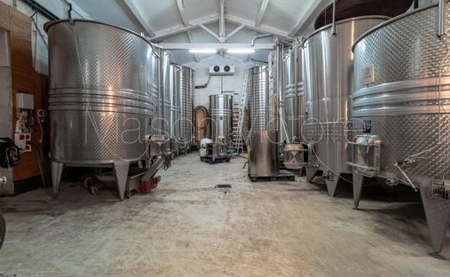 Azienda agricola a Bédoin, Provenza-Alpi-Costa Azzurra, Francia 1