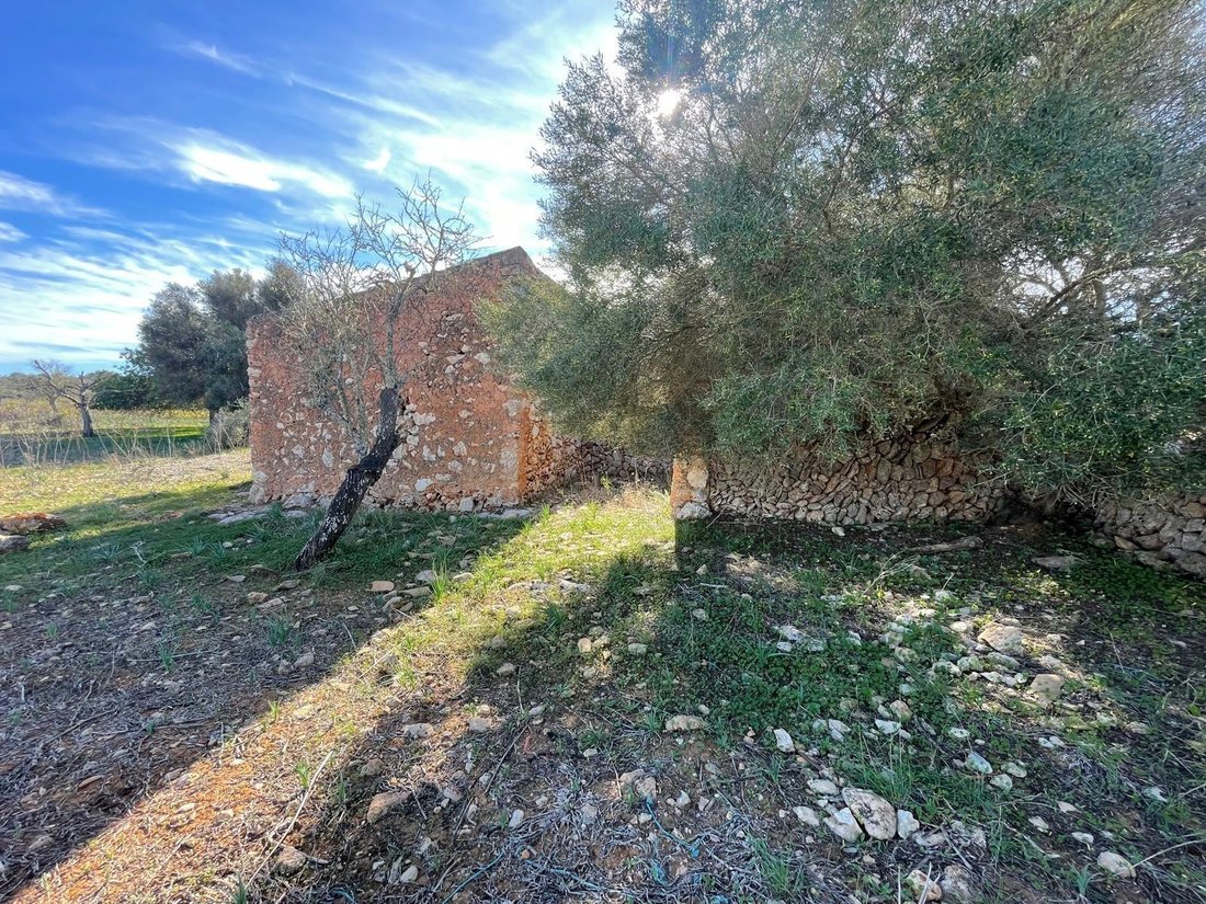 Terreno a Ses Salines, Isole Baleari, Spagna 4 - 17306133