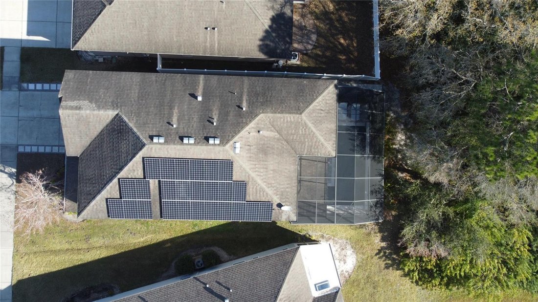 House in Tampa, Florida, United States 3 - 17302091