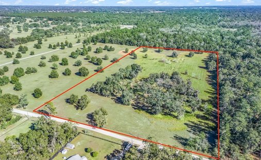 Land in Ocala, Florida, Vereinigte Staaten 1