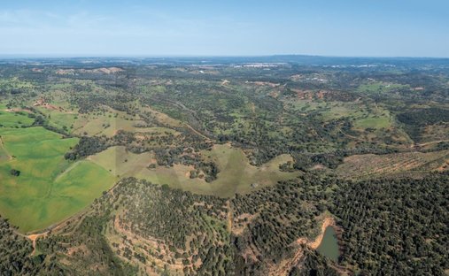 Land in S.Teotónio, Beja District, Portugal 1