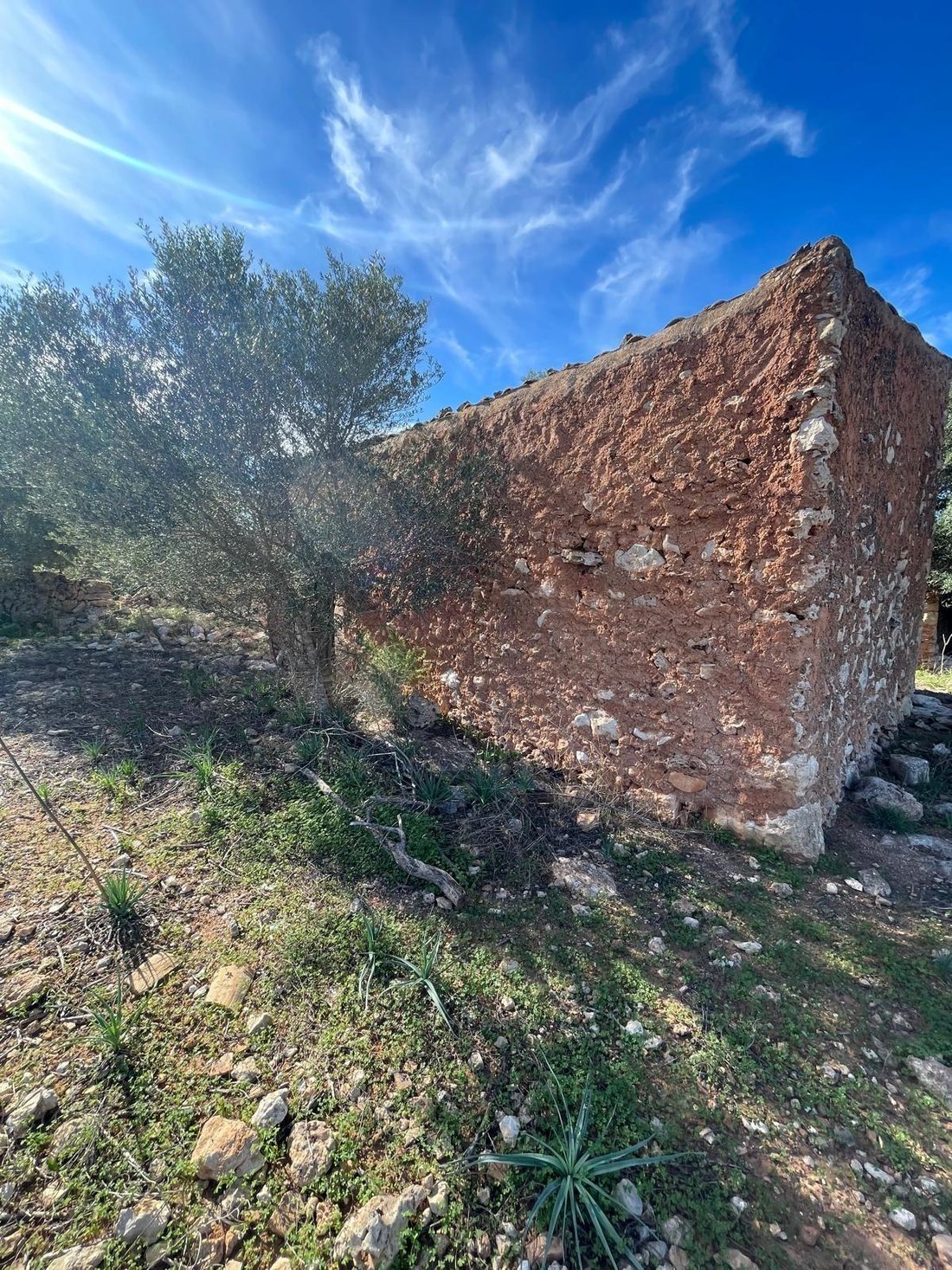 Terreno a Ses Salines, Isole Baleari, Spagna 3 - 17306133