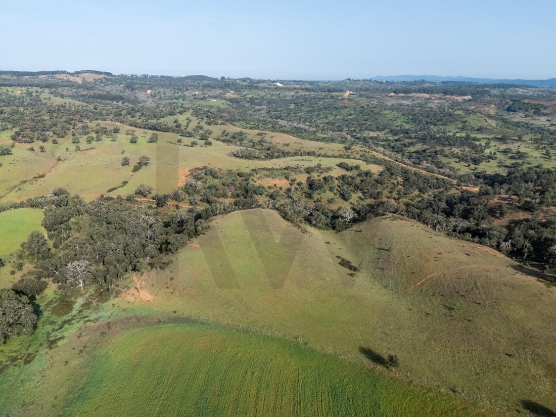 Terrain à São Teotónio, Beja, Portugal 3 - 17307427