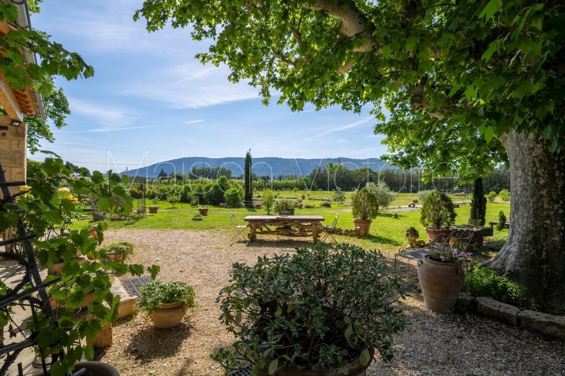 House in Taillades, Provence-Alpes-Côte d'Azur, France 5 - 17303183