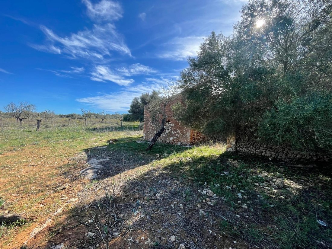 Terreno a Ses Salines, Isole Baleari, Spagna 2 - 17306133