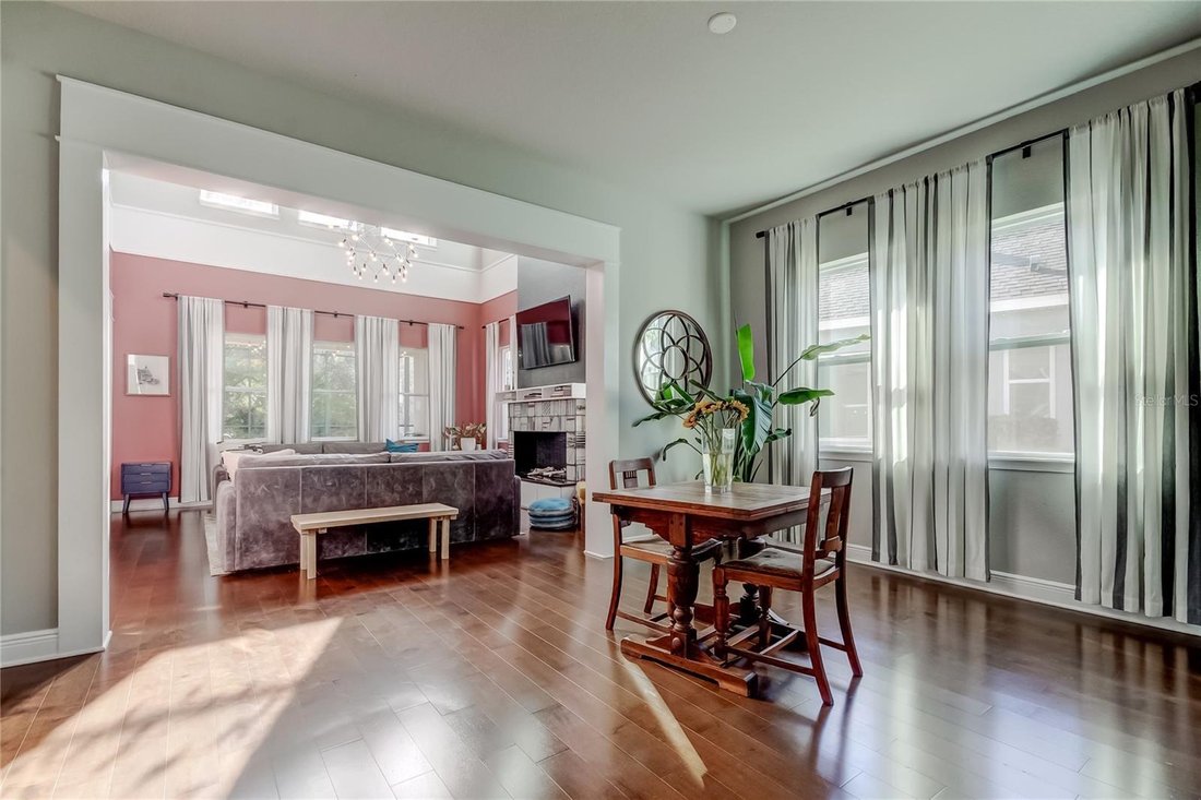 House in Tampa, Florida, United States 5 - 17302091