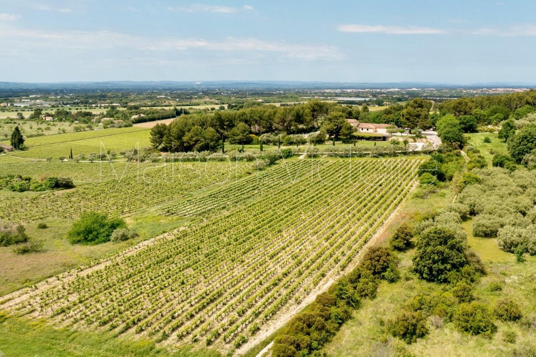 Farm Ranch in Bédoin, Provence-Alpes-Côte d'Azur, France 2 - 17303082
