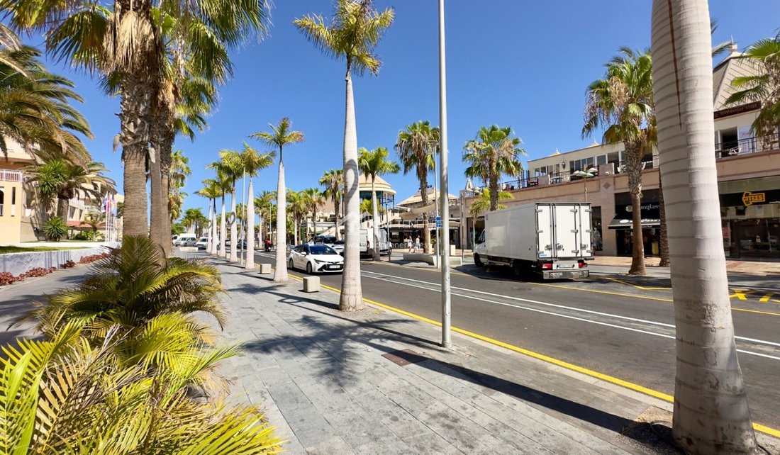 Apartment in Playa de las Americas, Canary Islands, Spain 1 - 17302531