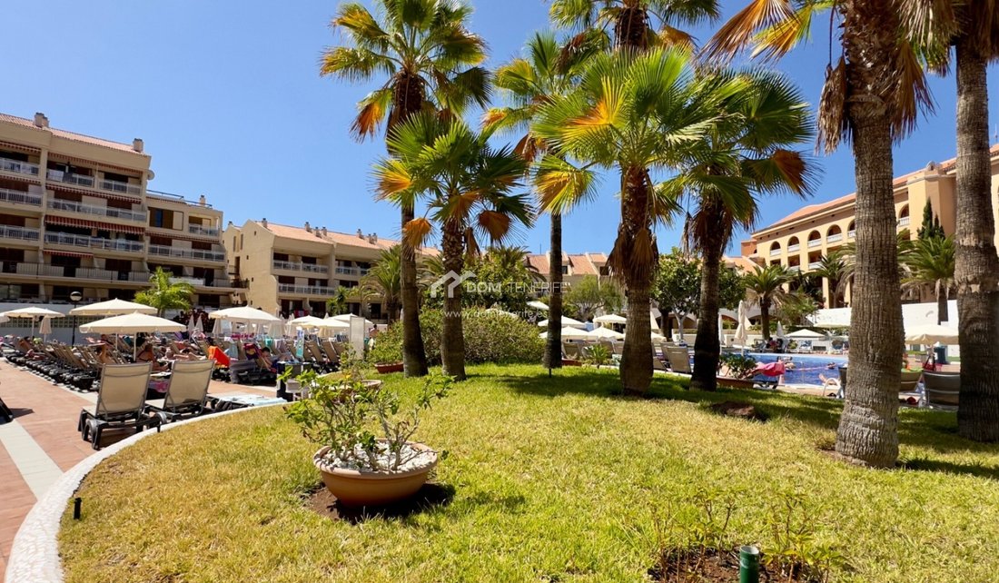 Apartment in Playa de las Americas, Canary Islands, Spain 3 - 17302531