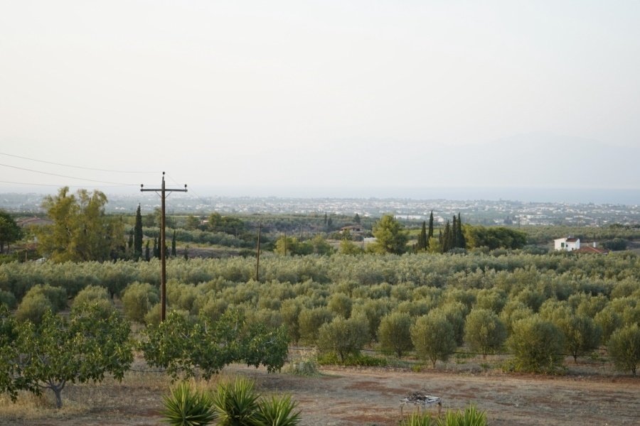 Land in Zevgolateio, Vocha, Greece 3 - 17303237