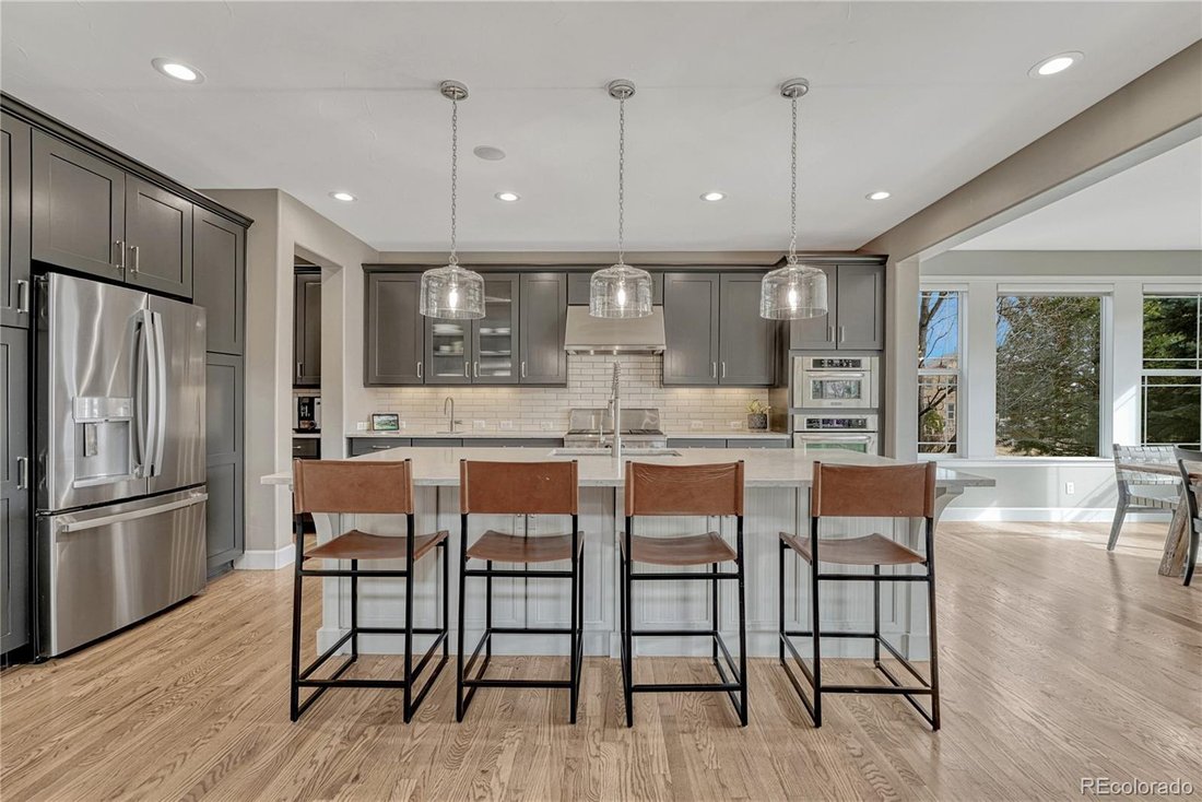 House in Highlands Ranch, Colorado, United States 4 - 17305325