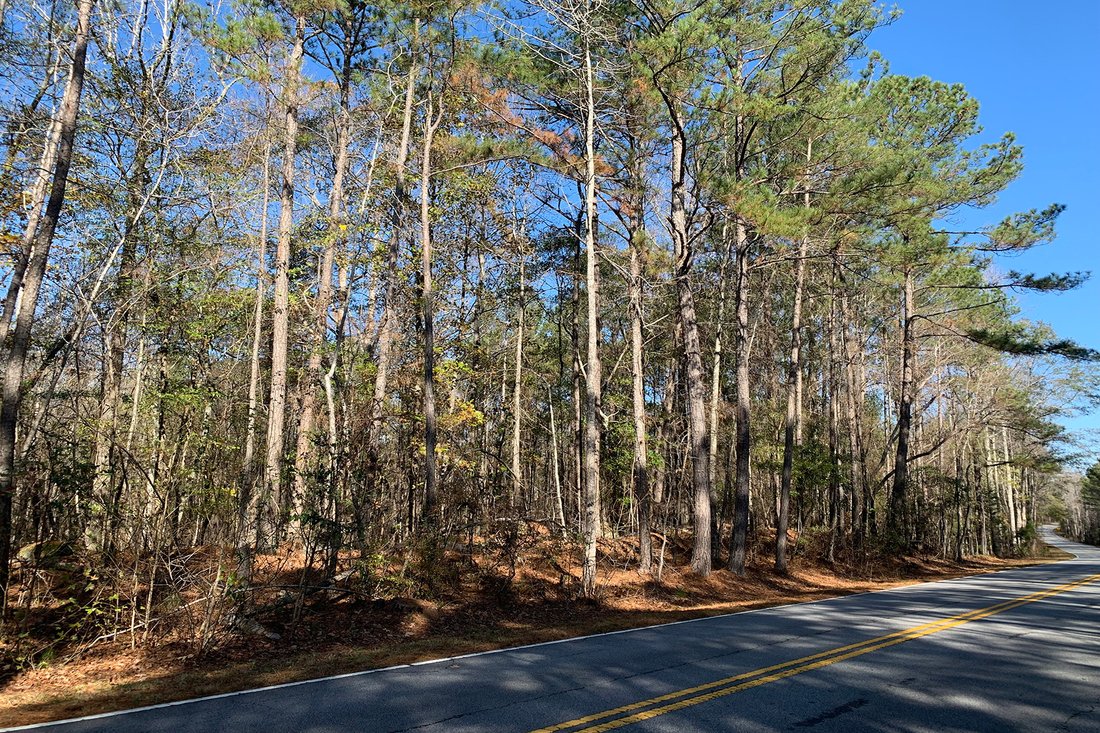Land in Chattahoochee Hills, Georgia, United States 3 - 17306865
