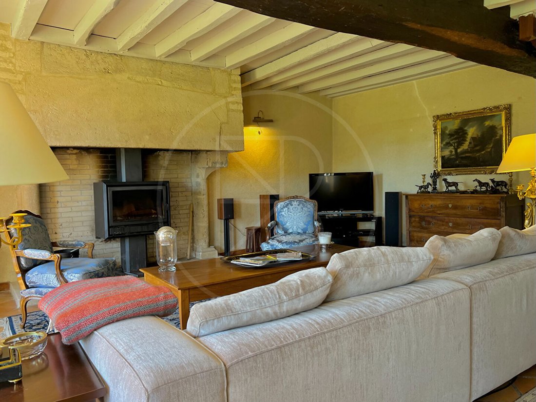 Villa in Rauzan, Nouvelle-Aquitaine, France 4 - 17302331