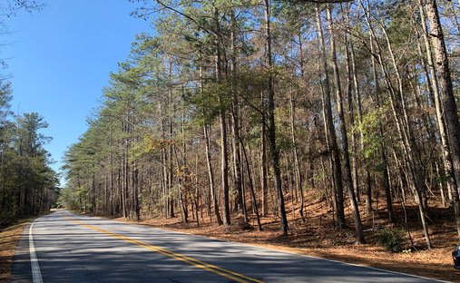 Land in Chattahoochee Hills, Georgia, United States 1