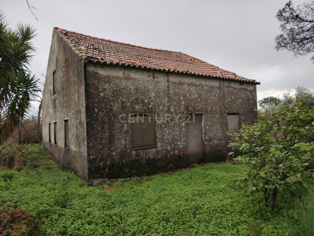 Land in Castelo Branco, Castelo Branco District, Portugal 2 - 17302501