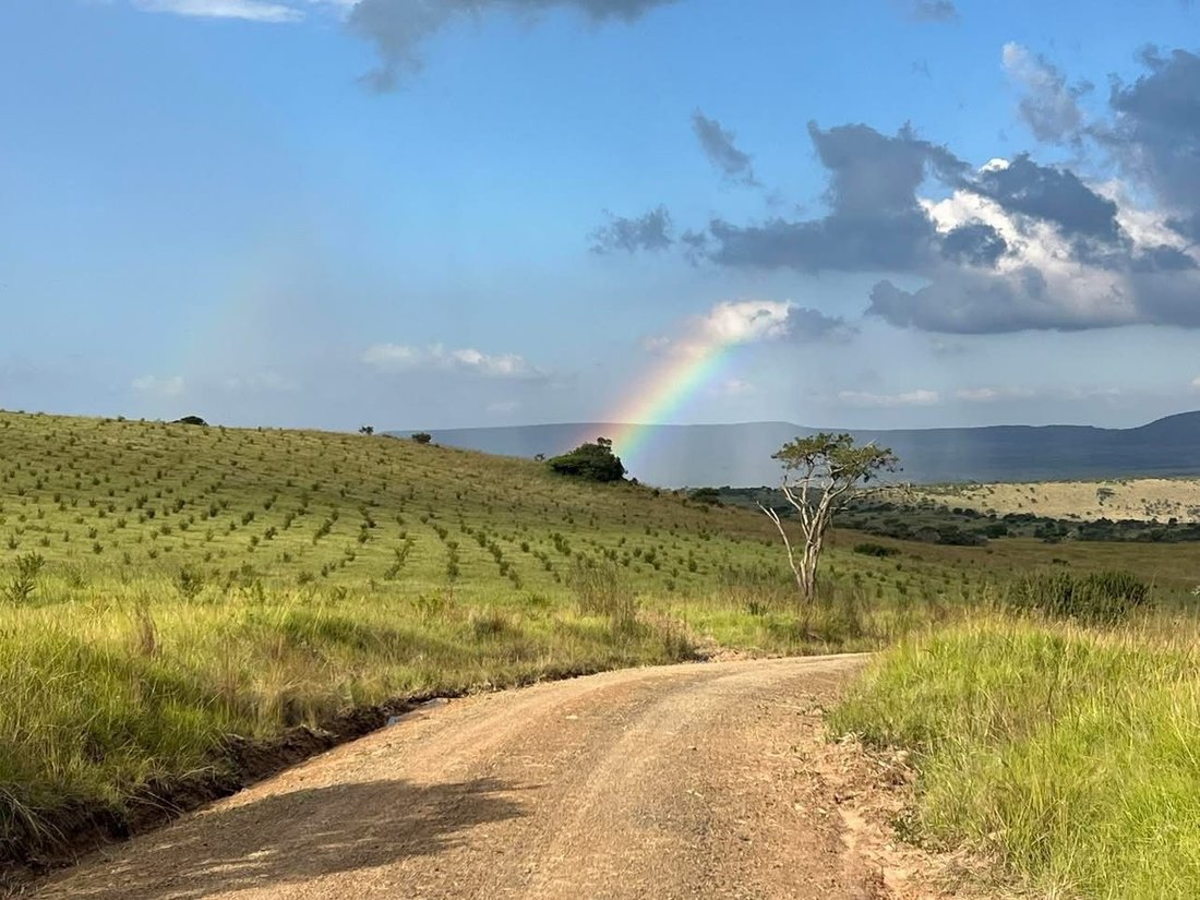 Farm Ranch in Dundee, KwaZulu-Natal, South Africa 1 - 17303331