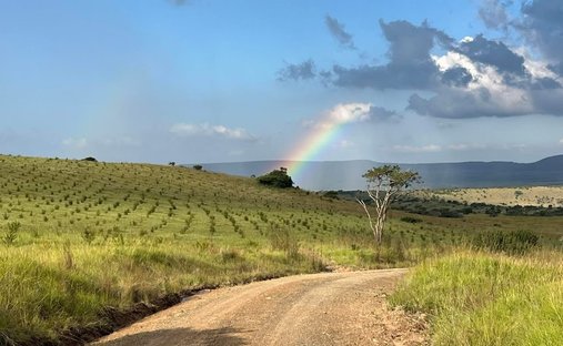 Farm Ranch in Dundee, KwaZulu-Natal, South Africa 1