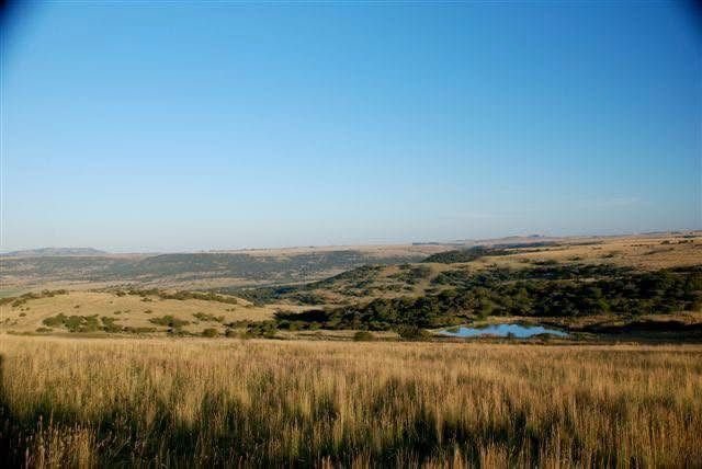 Farm Ranch in Dundee, KwaZulu-Natal, South Africa 2 - 17303331