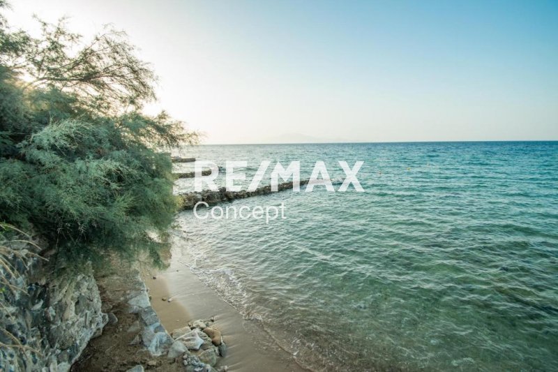 Land in Tragakiou, Arkadii, Greece 1 - 17302654