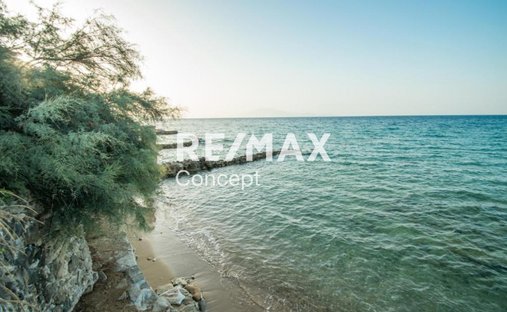 Land in Tragakiou, Arkadii, Greece 1