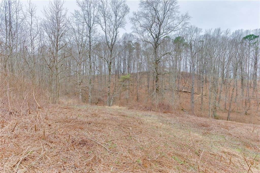 Land in Cumming, Georgia, United States 5 - 17305527