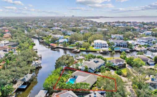 House in Tampa, Florida, United States 1