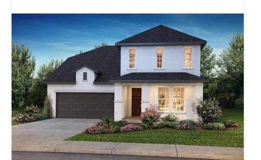 House in Conroe, Texas, United States 1