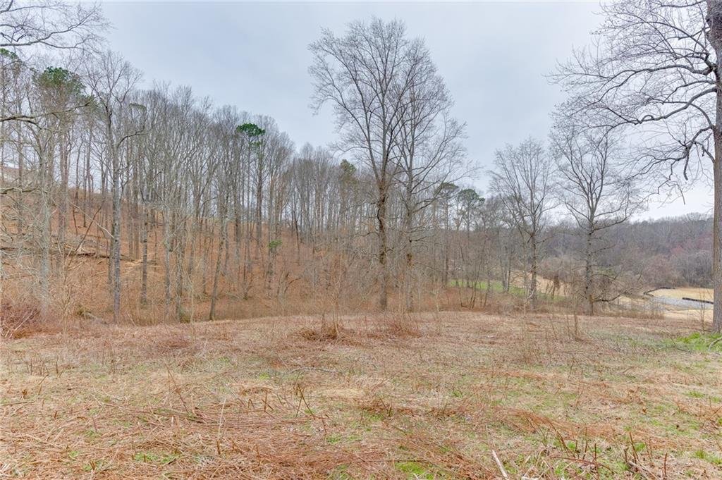 Land in Cumming, Georgia, United States 4 - 17305527