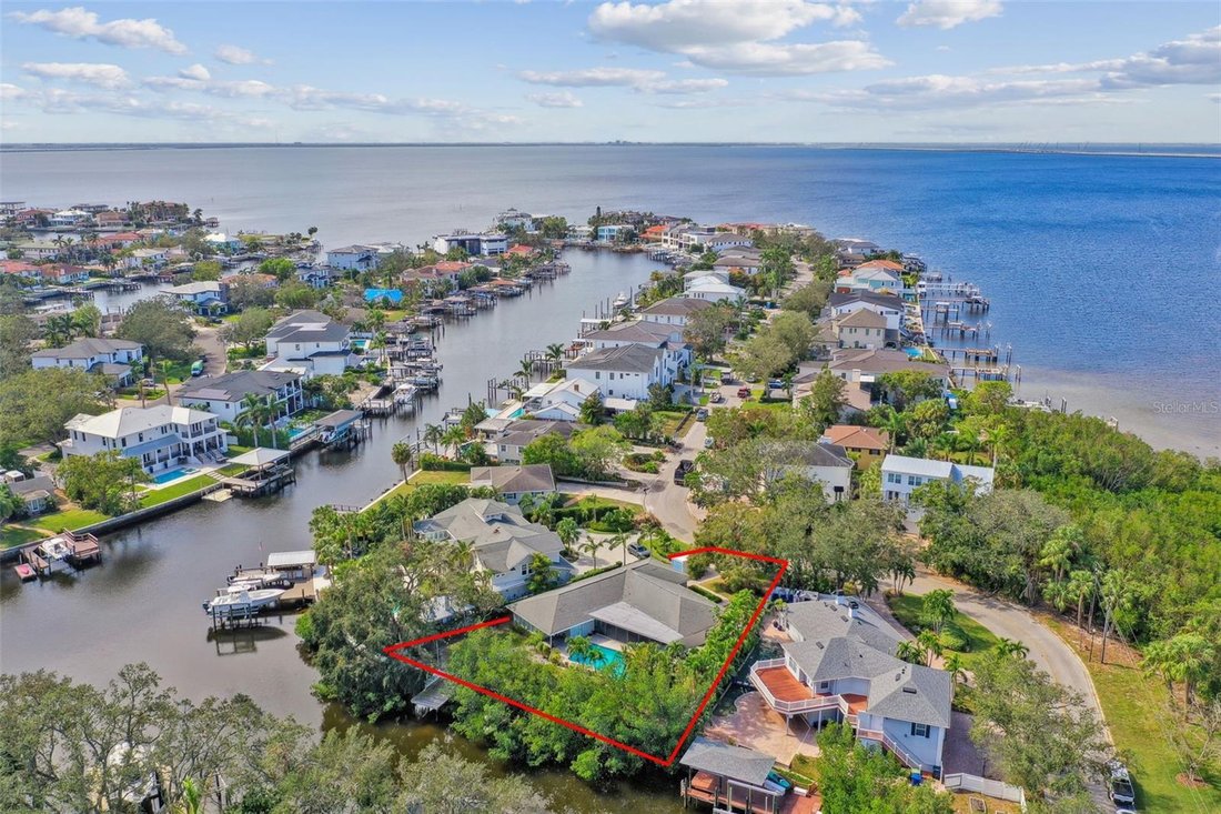 House in Tampa, Florida, United States 5 - 17305205