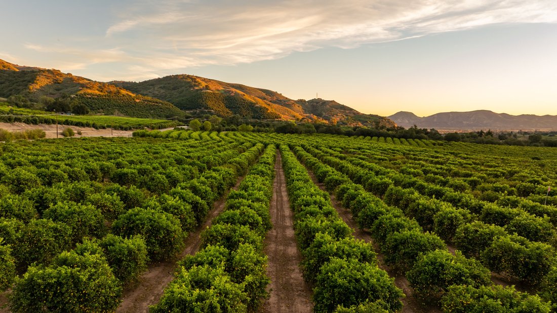 Farm Ranch in Fillmore, California, United States 1 - 17308577