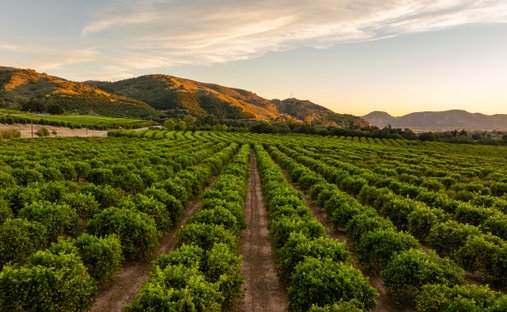 Corps de ferme à Fillmore, Californie, États-Unis 1