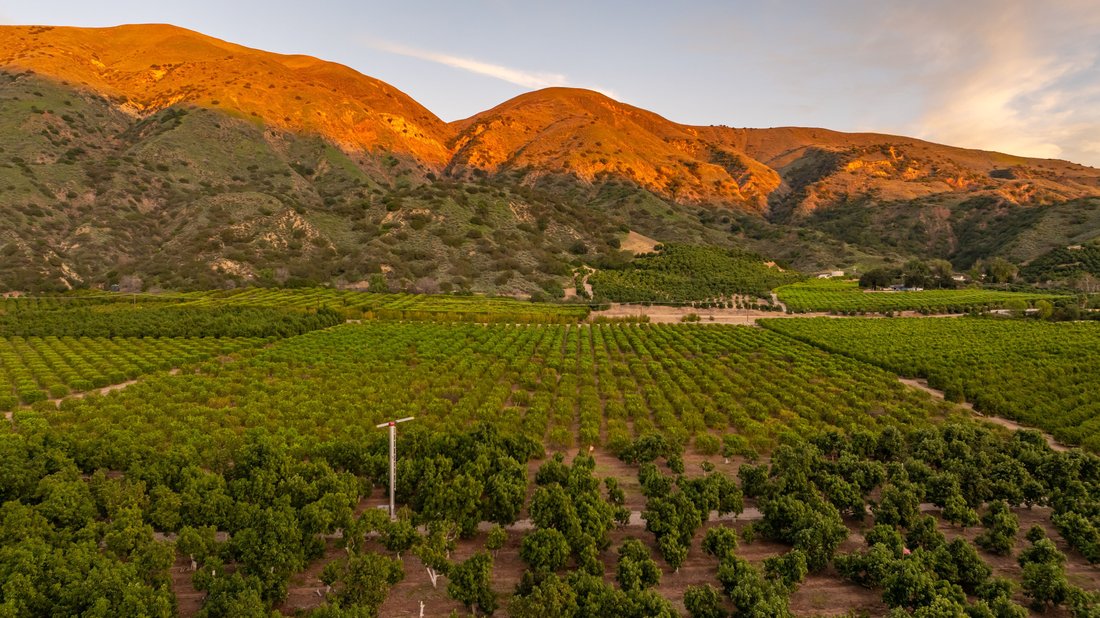 Farm Ranch in Fillmore, California, United States 4 - 17308577