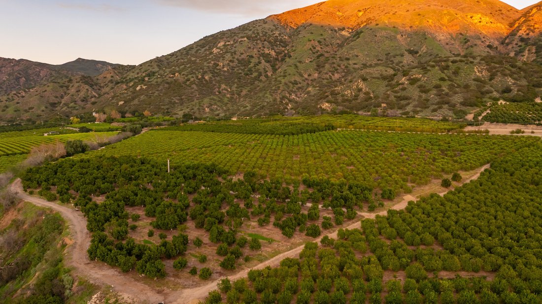 Farm Ranch in Fillmore, California, United States 5 - 17308577