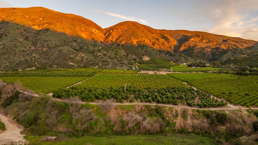 Farm Ranch in Fillmore, California, United States 3 - 17308577