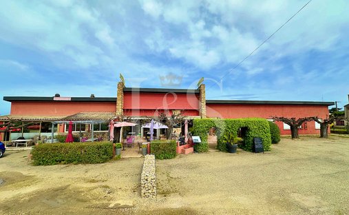 Estate in Suze-la-Rousse, Auvergne-Rhône-Alpes, France 1