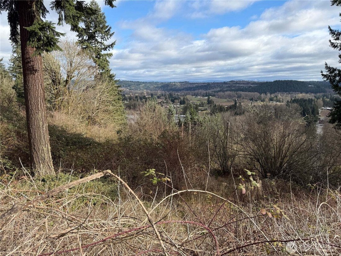 Land in Puyallup, Washington, United States 2 - 17308731