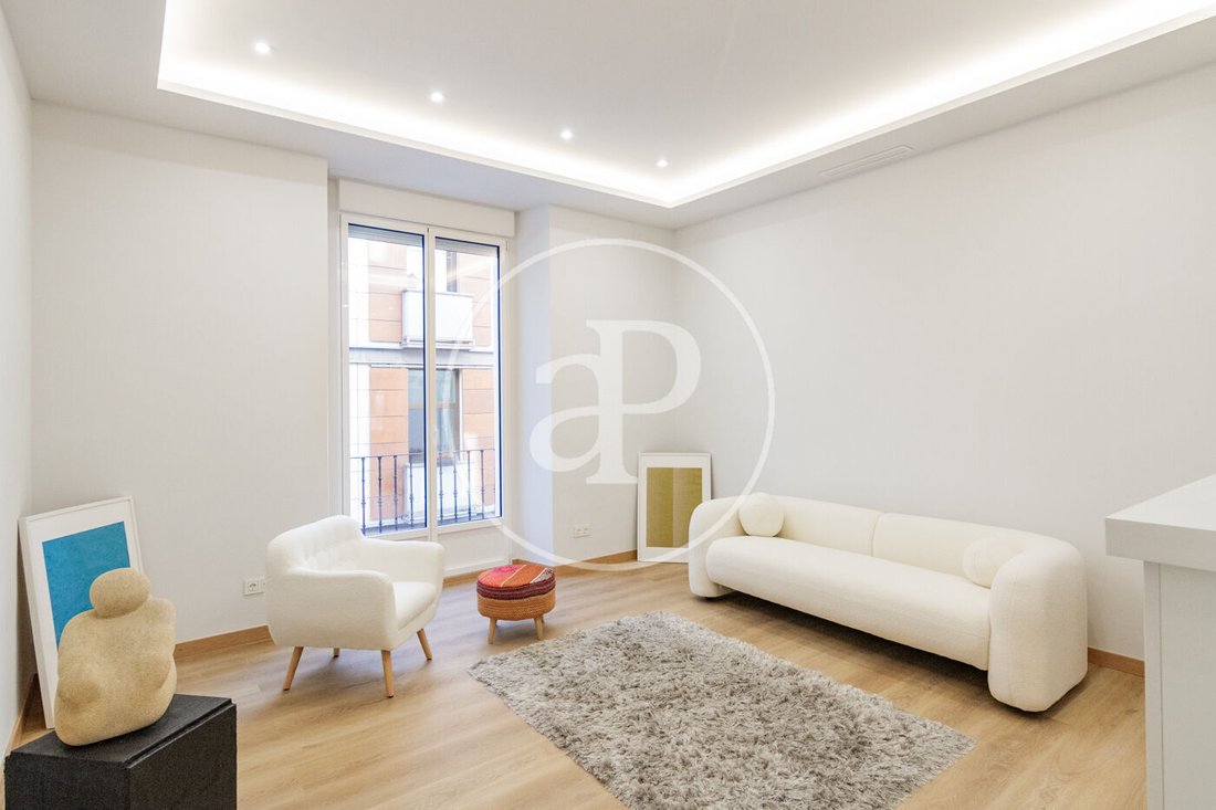 Apartment in Centro, Madrid, Spain 1 - 17082712