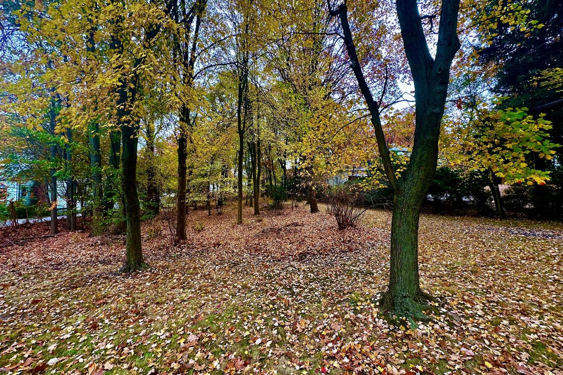 Land in Paramus, New Jersey, United States 4 - 17308583