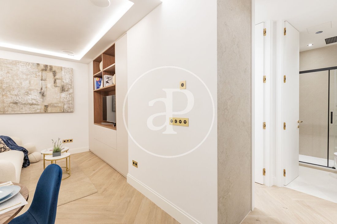 Apartment in Barrio Salamanca, Madrid, Spain 4 - 17308514