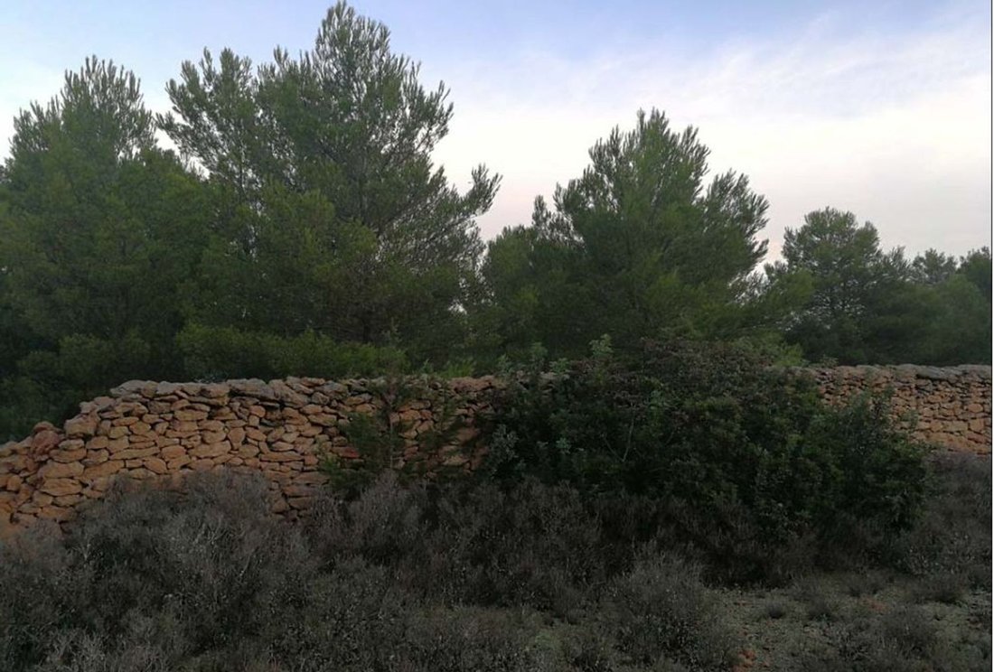 Land in Formentera, Balearic Islands, Spain 4 - 17309780